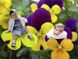 NIÑOS EN FLOR